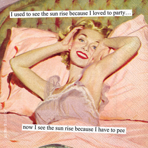 Anne Taintor napkins 
